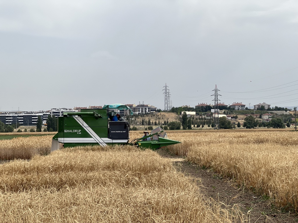 Hizmetlerimiz img 9711