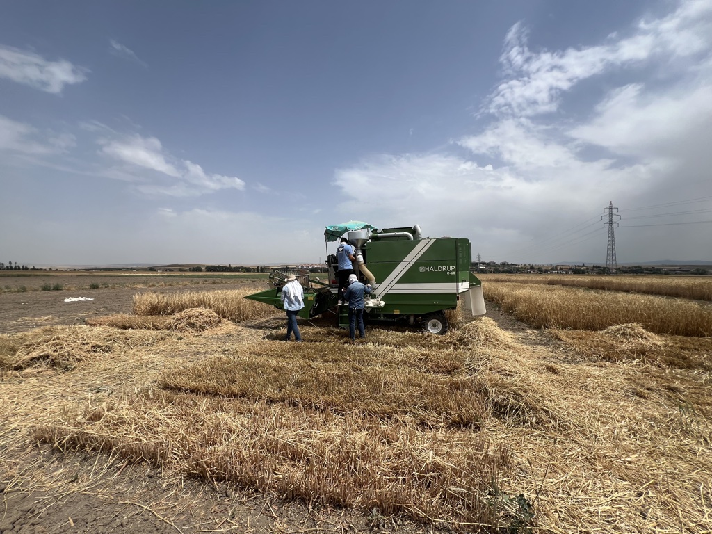 Hizmetlerimiz img 9721